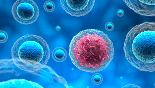 Cancer Screening Package